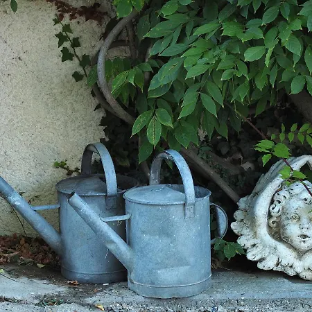 Le Clos Des Noaillettes Gæstehus Puybarban