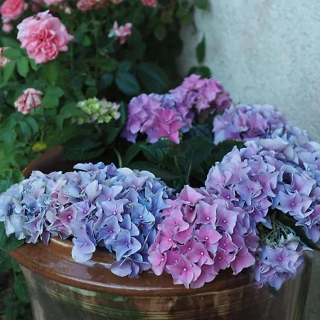 Le Clos Des Noaillettes 3*